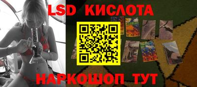 крисы Гусев
