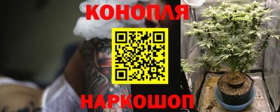 крисы Гусев