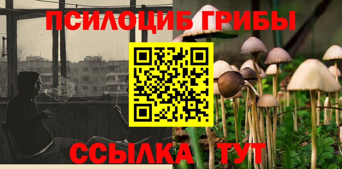 Галлюциногенные грибы Cubensis Нефтекамск